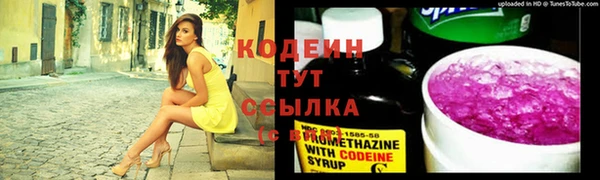 мдпв Волосово