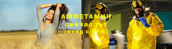 прущие крисы Вяземский