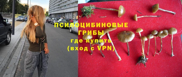 прущие крисы Вяземский