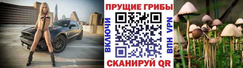 Галлюциногенные грибы Psilocybine cubensis  OMG маркетплейс  Закаменск 